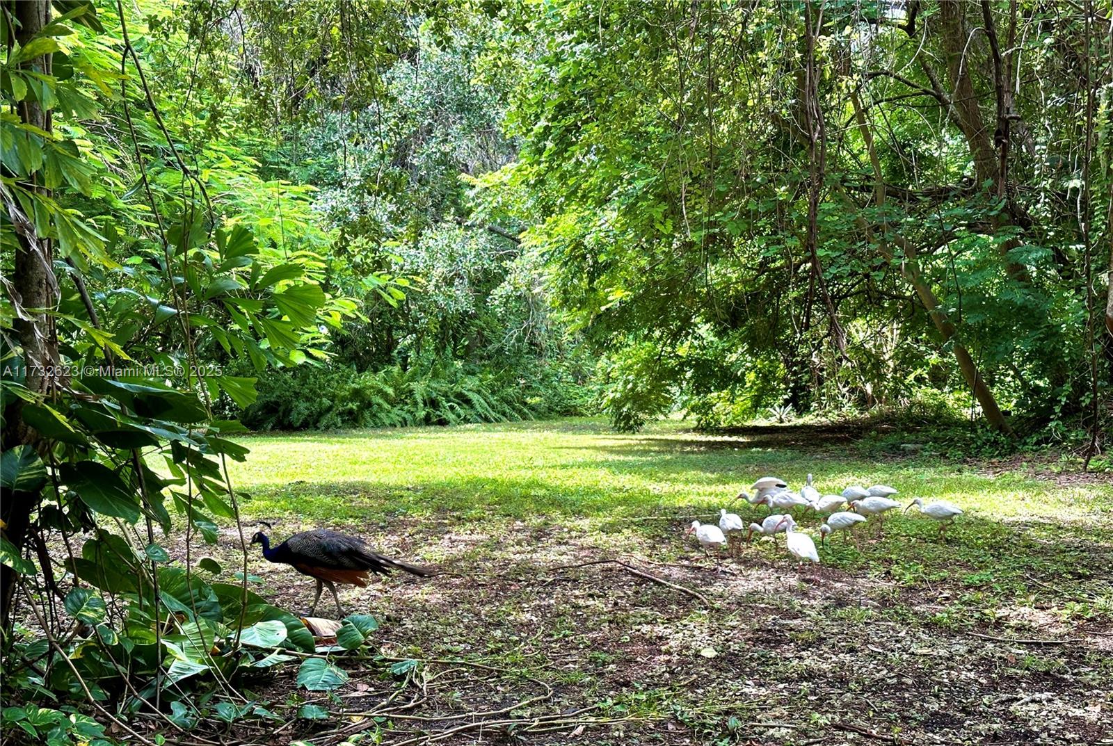 7709 SW 67th Ave Lot #3