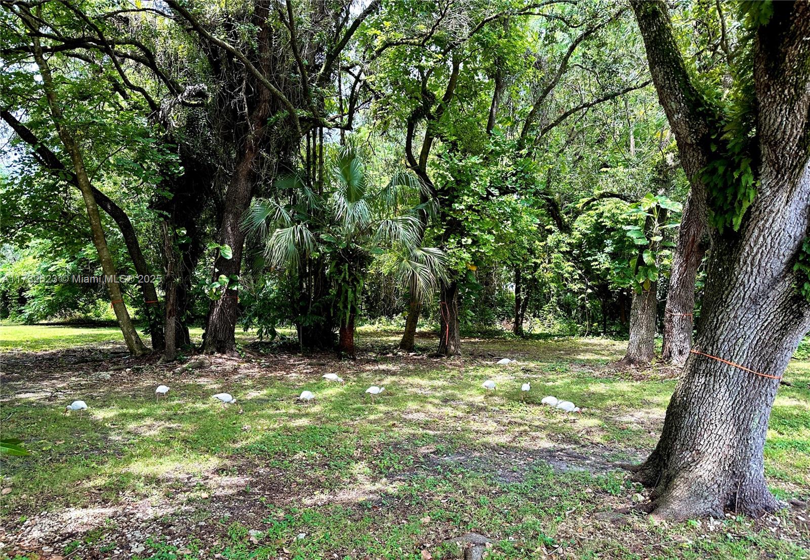 7709 SW 67th Ave Lot #3