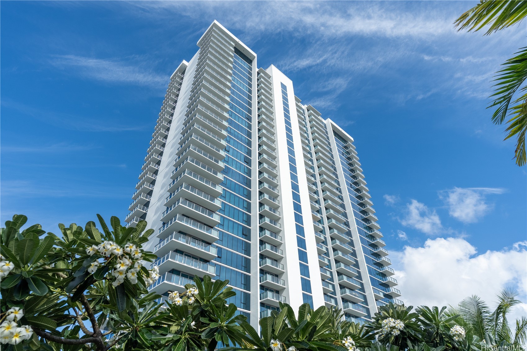 1515 Liona Street 1604