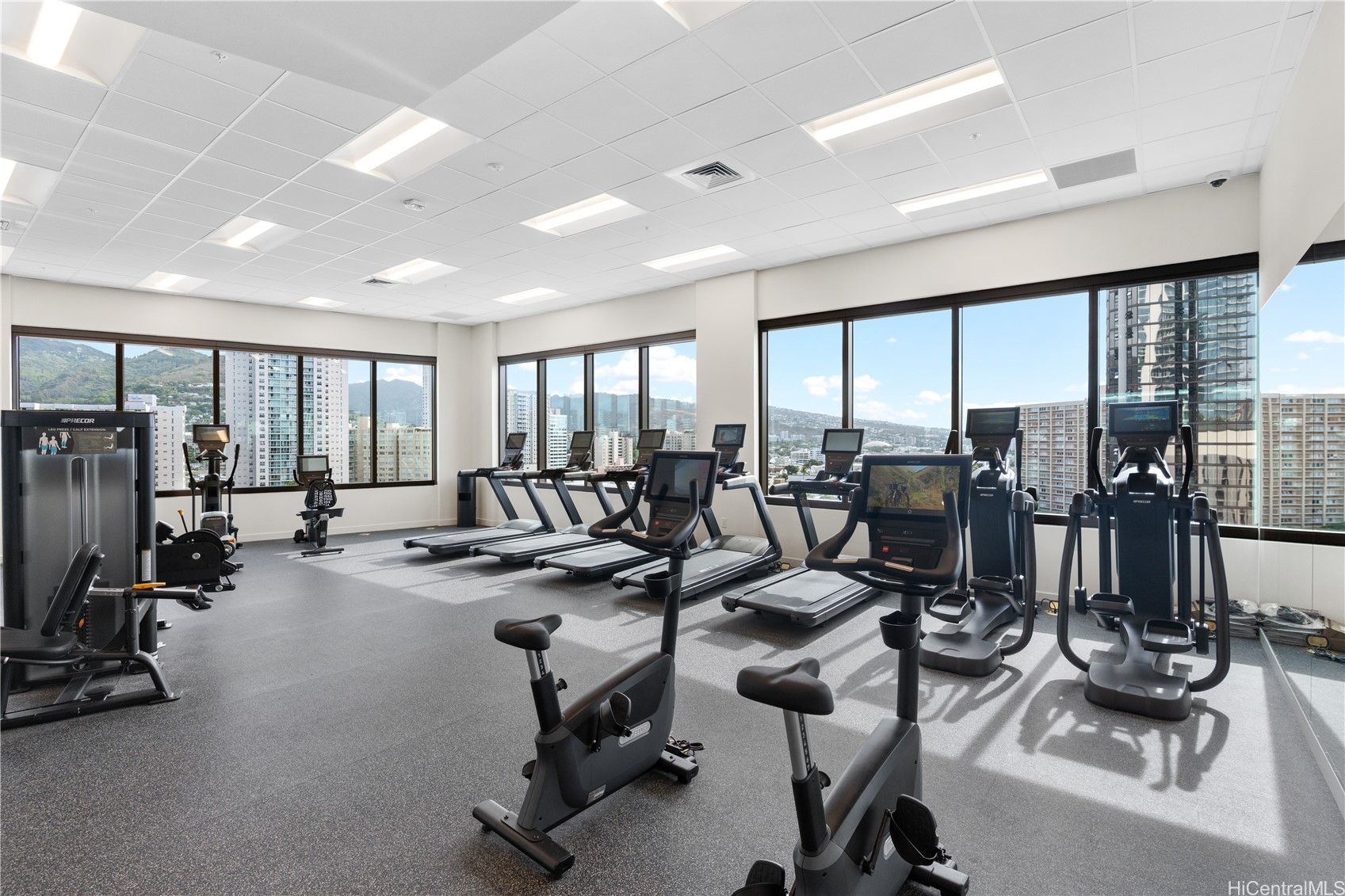 1515 Liona Street 1604