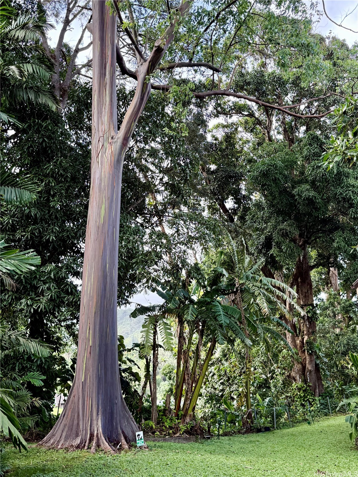 46-369 Haiku Road D3