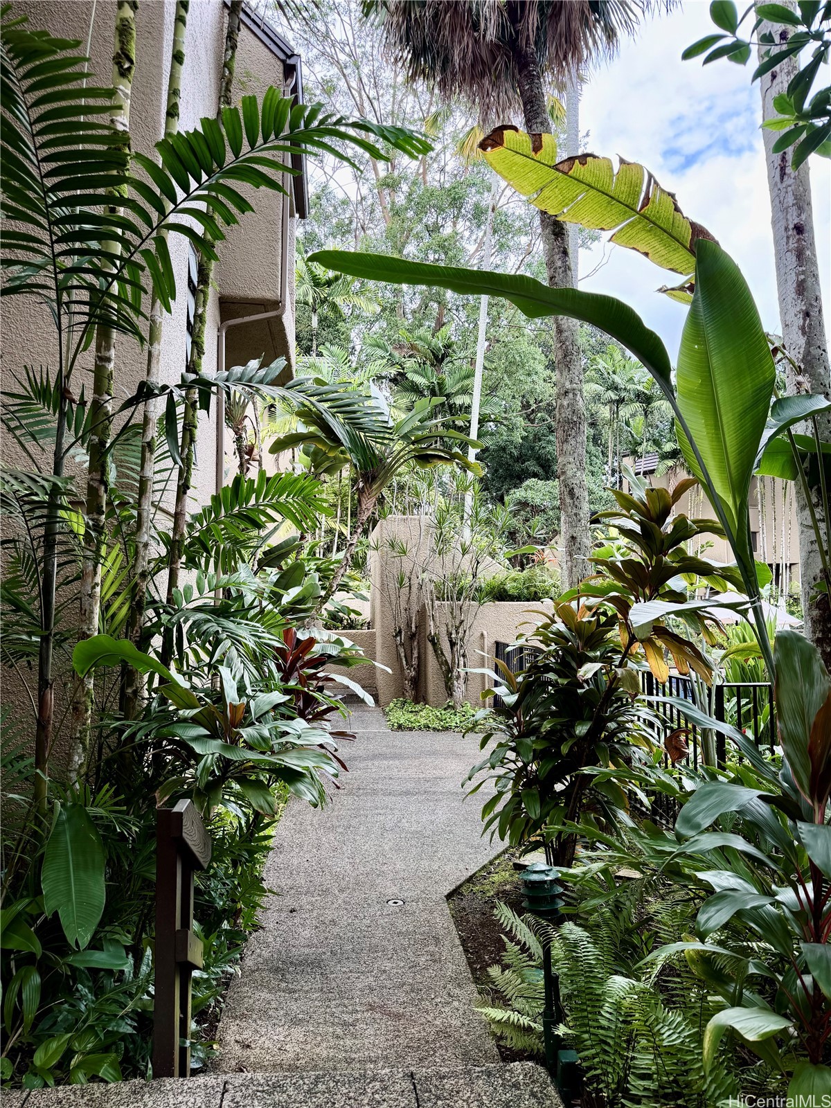 46-369 Haiku Road D3