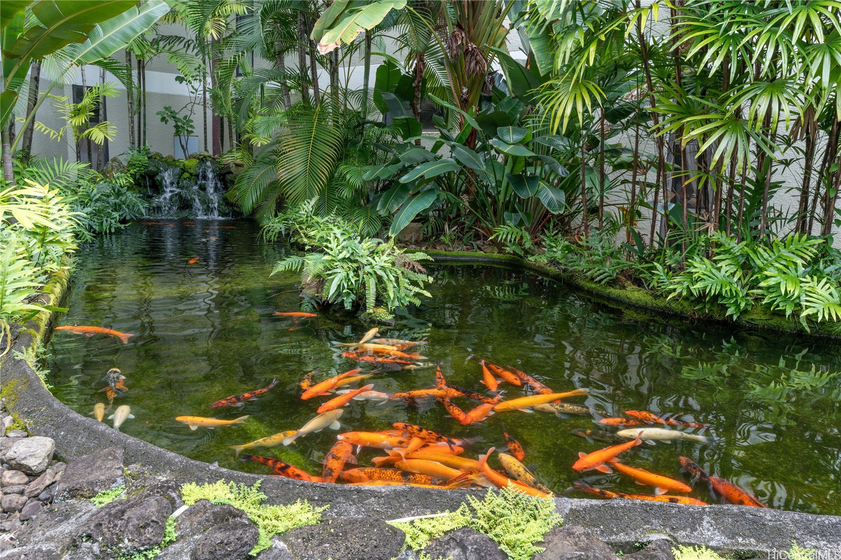 1020 Aoloa Place 109B