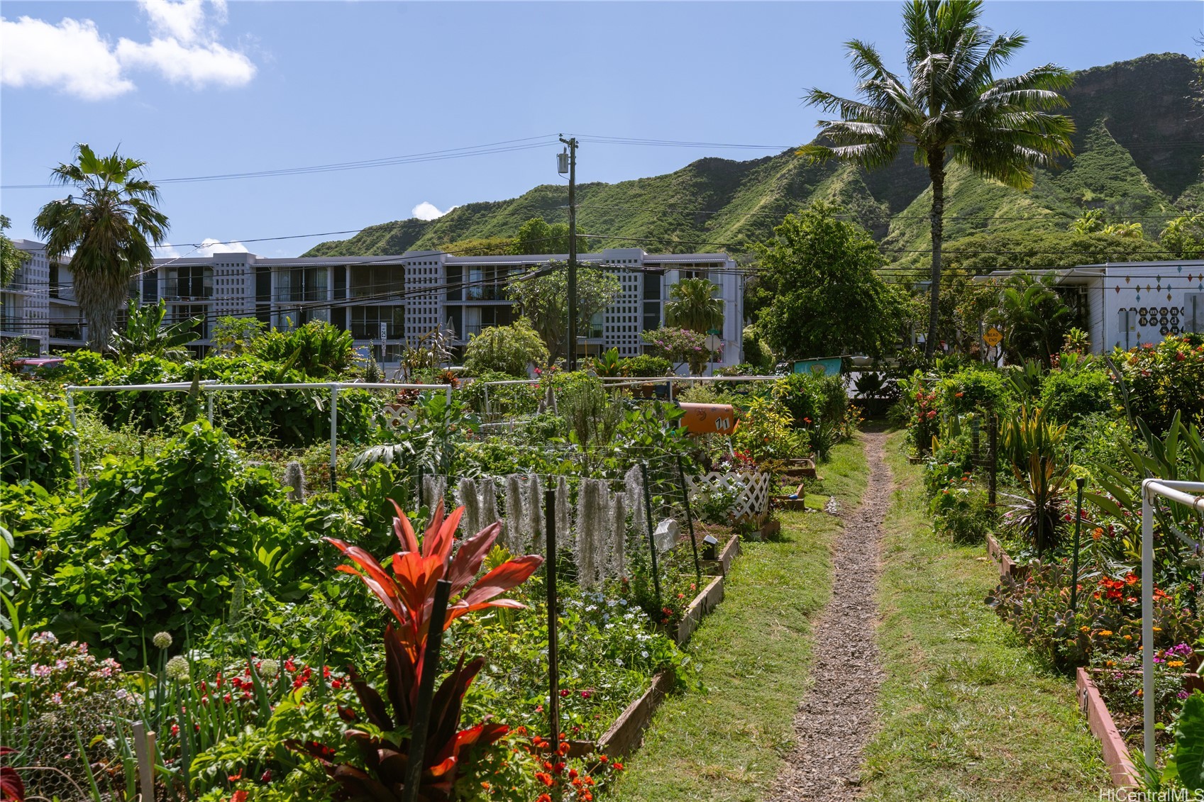 3006 Pualei Circle 103