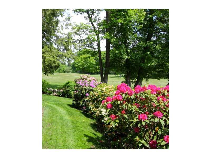 3 Wildwood Drive, 3