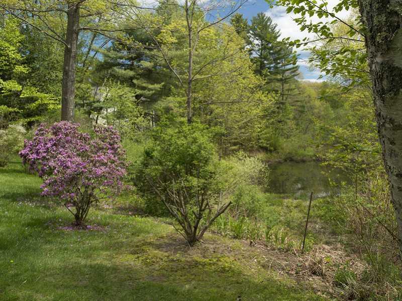 37 Broad Cove Woods