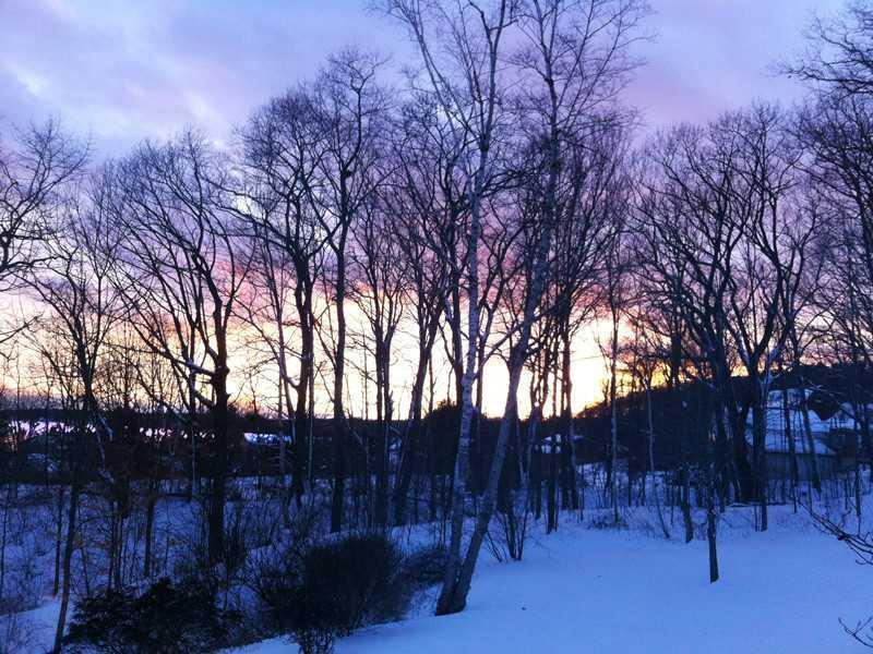 37 Broad Cove Woods