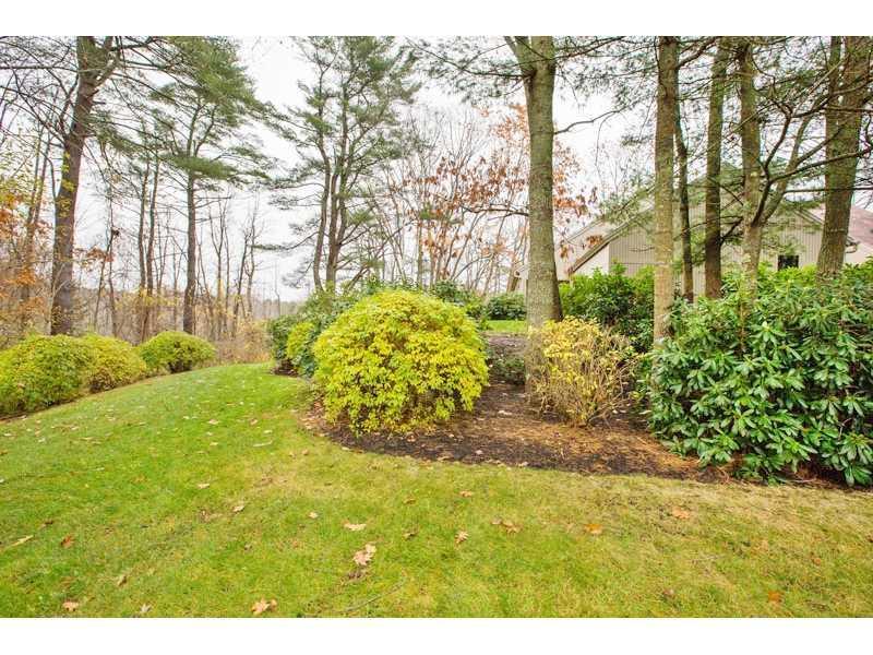 41 Wildwood Drive, 41