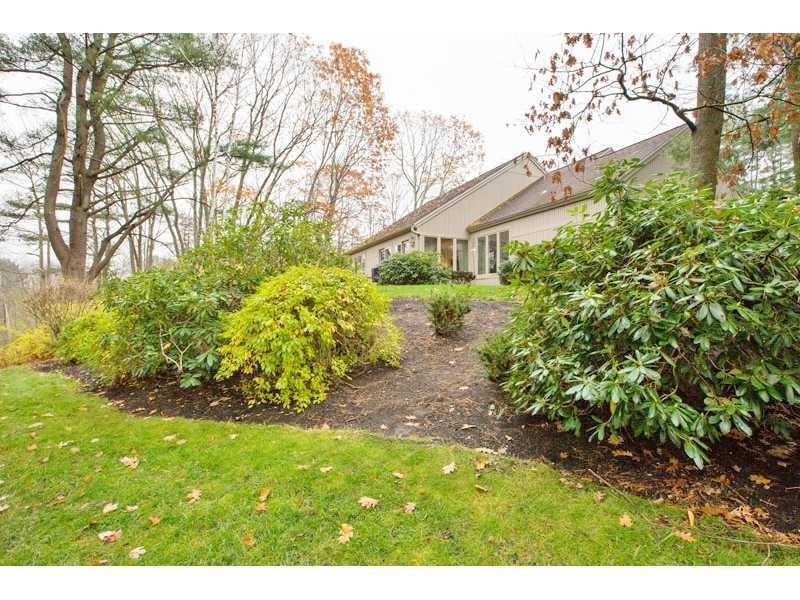 41 Wildwood Drive, 41