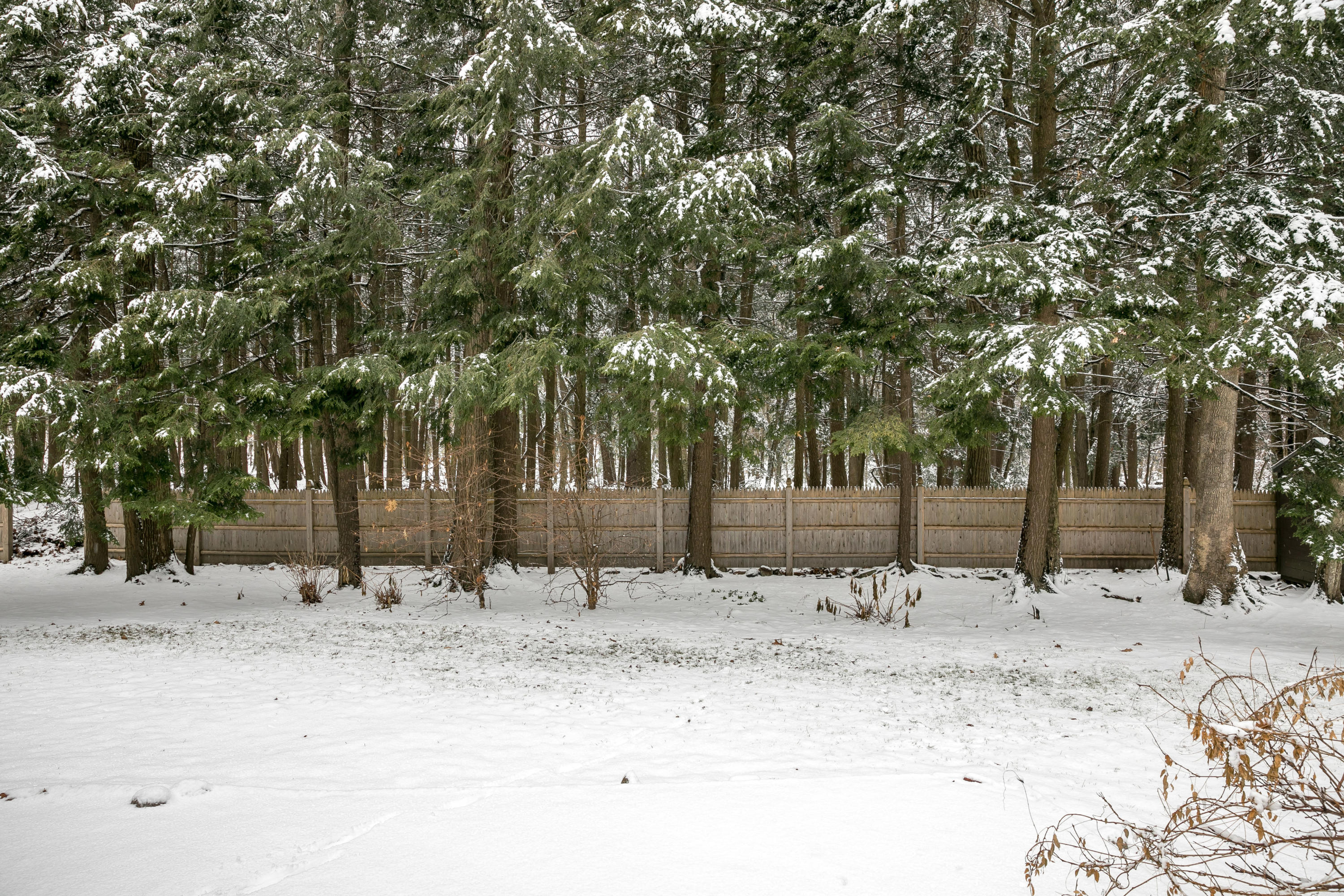 76 Olde Birch Lane