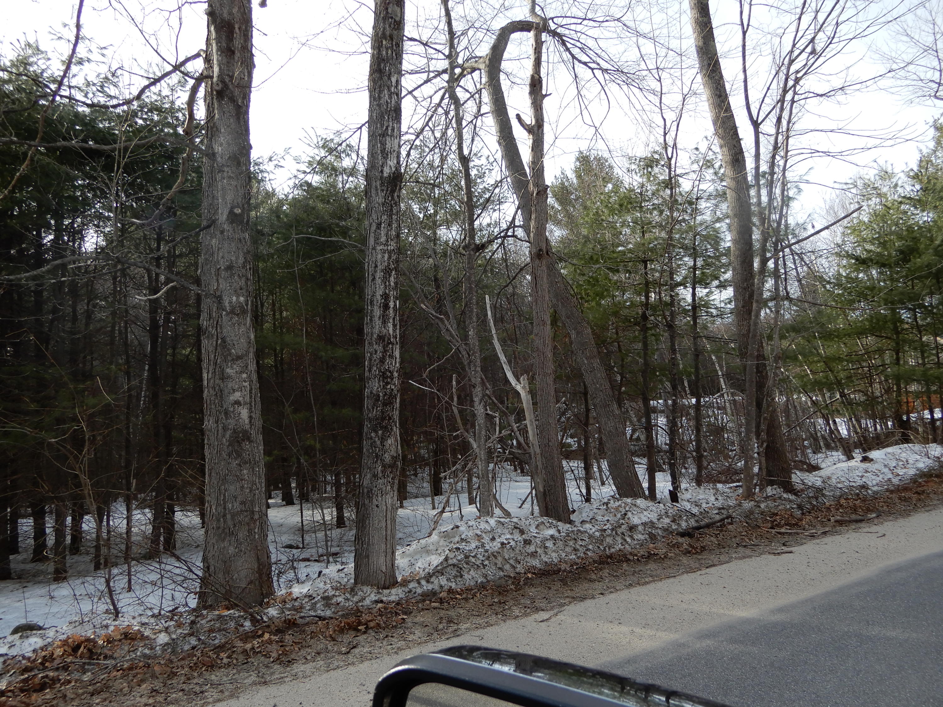 167 Pound Hill Road