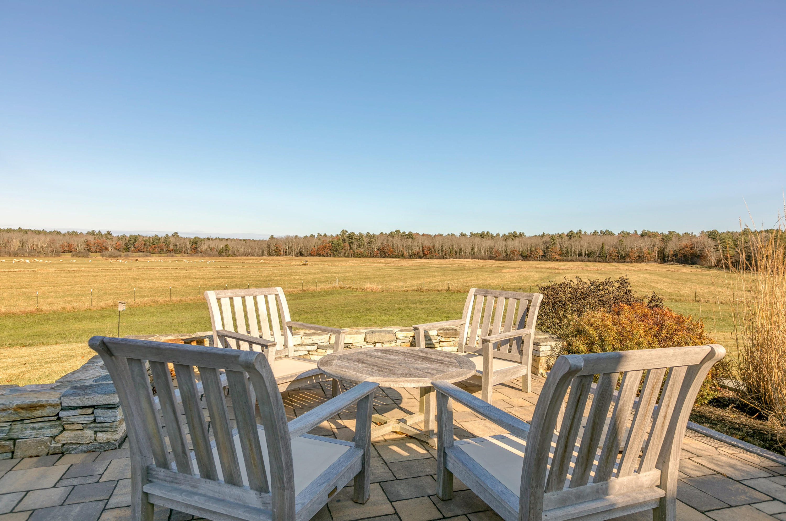 61 Greely Road
