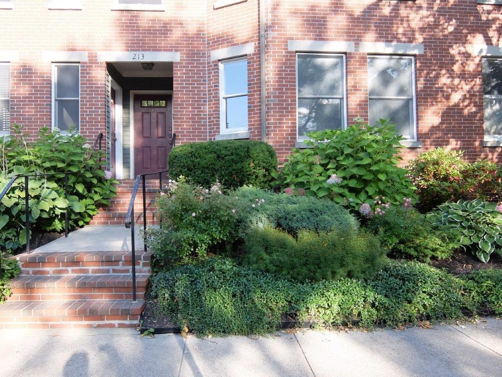 213 Vaughan Street, 4