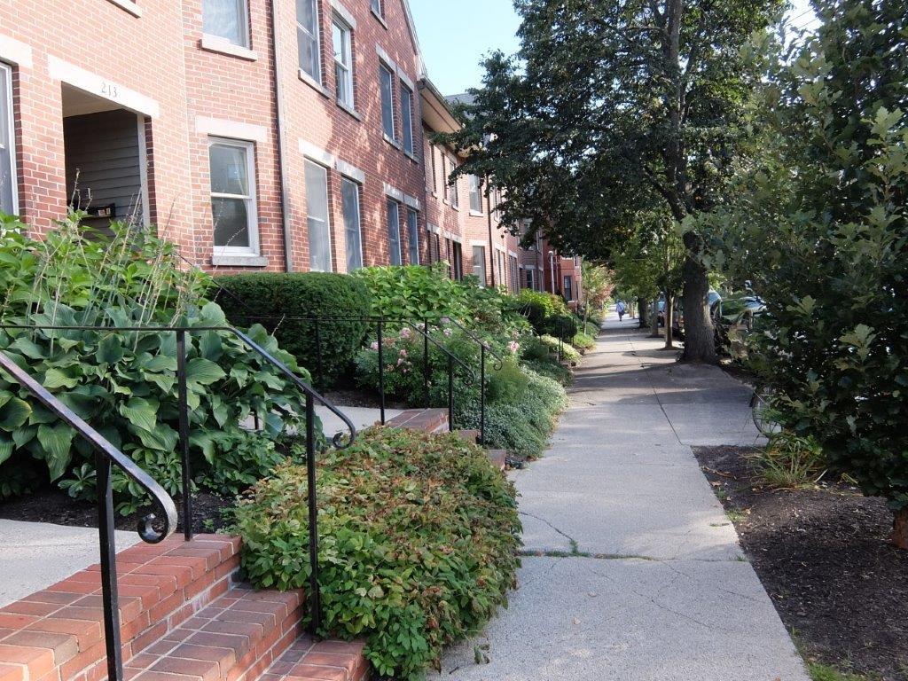 213 Vaughan Street, 4