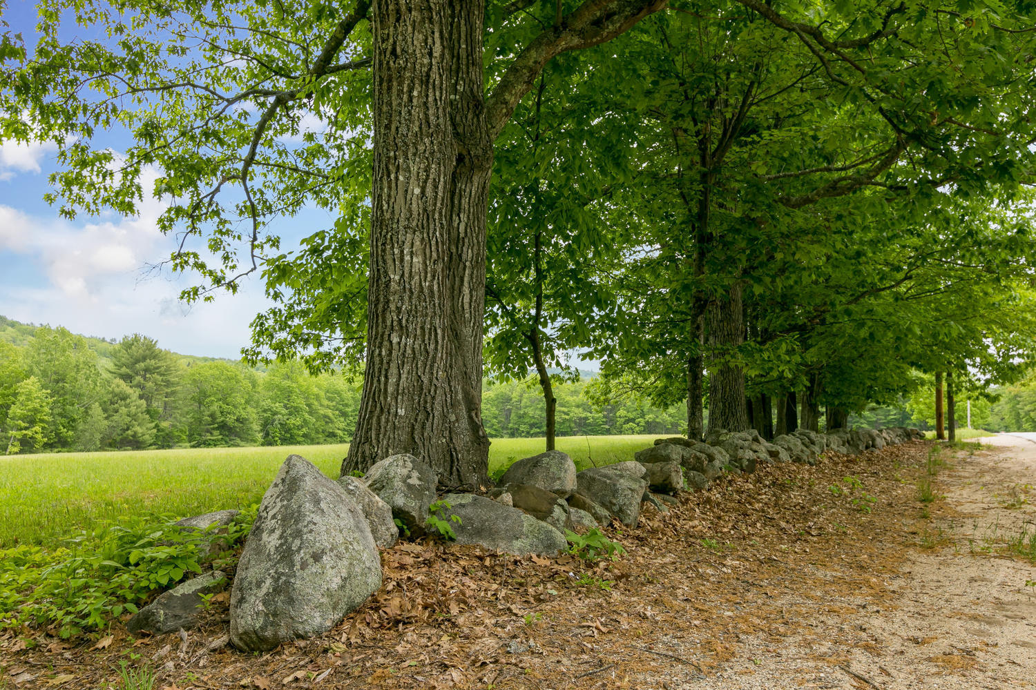 728 Harrison Road