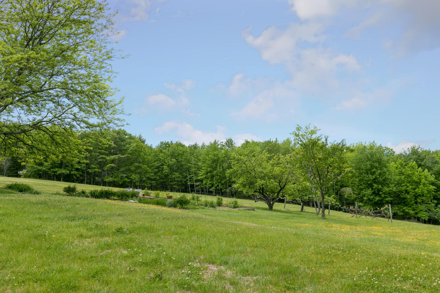 728 Harrison Road
