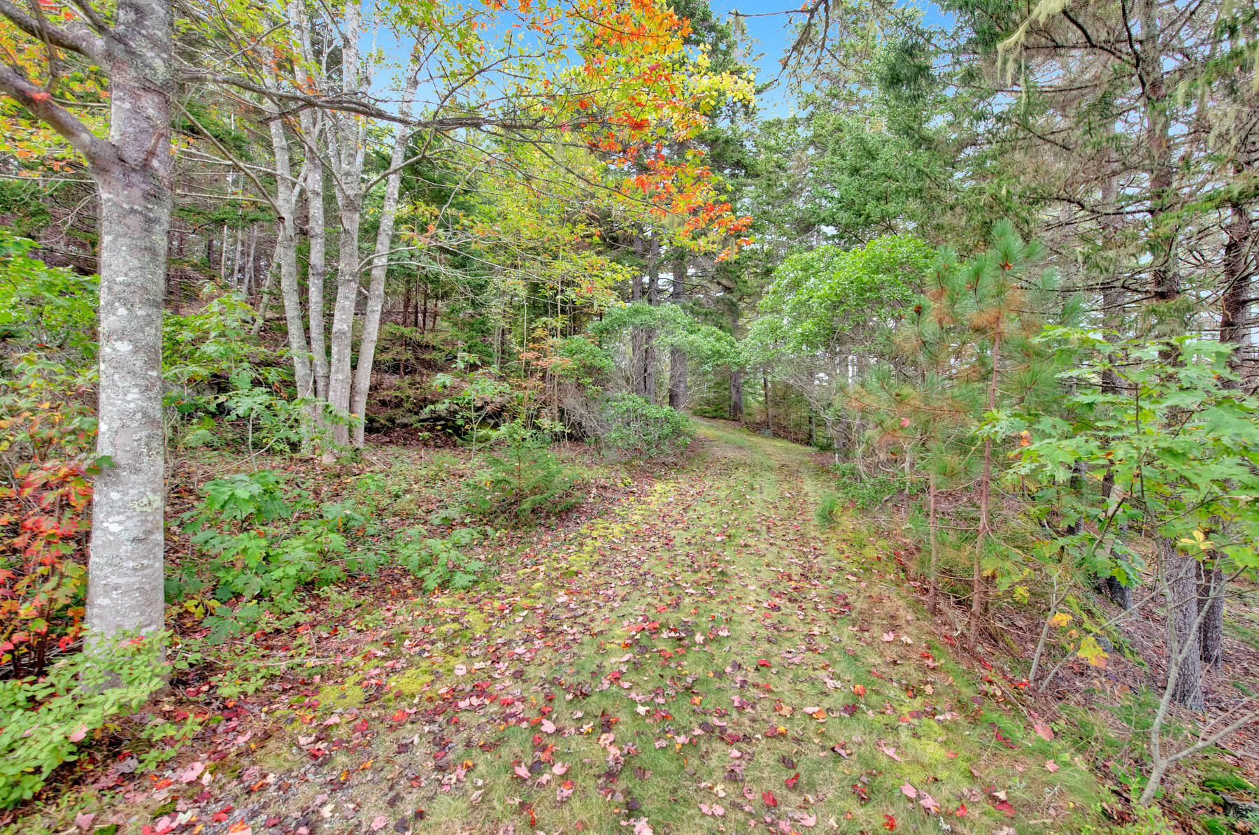 254 Cape Newagen Road