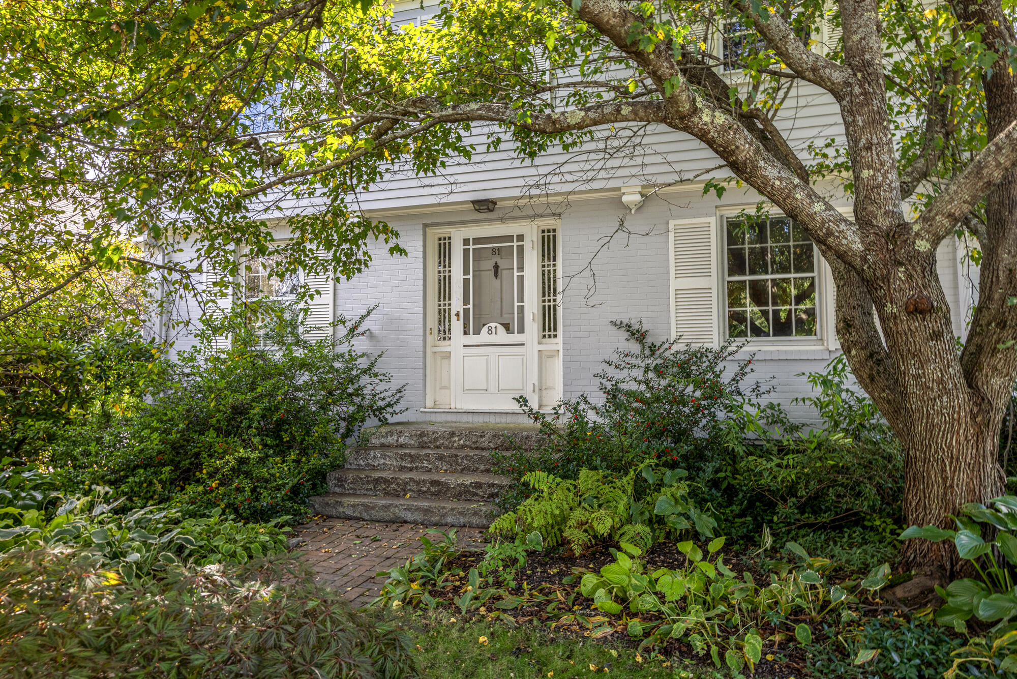 81 Austin Street