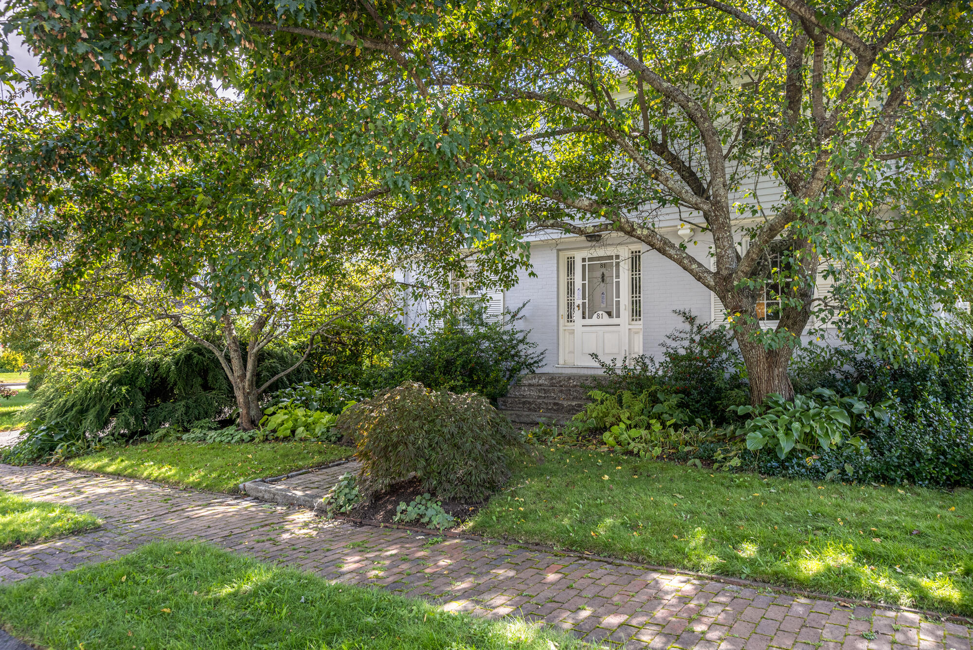 81 Austin Street