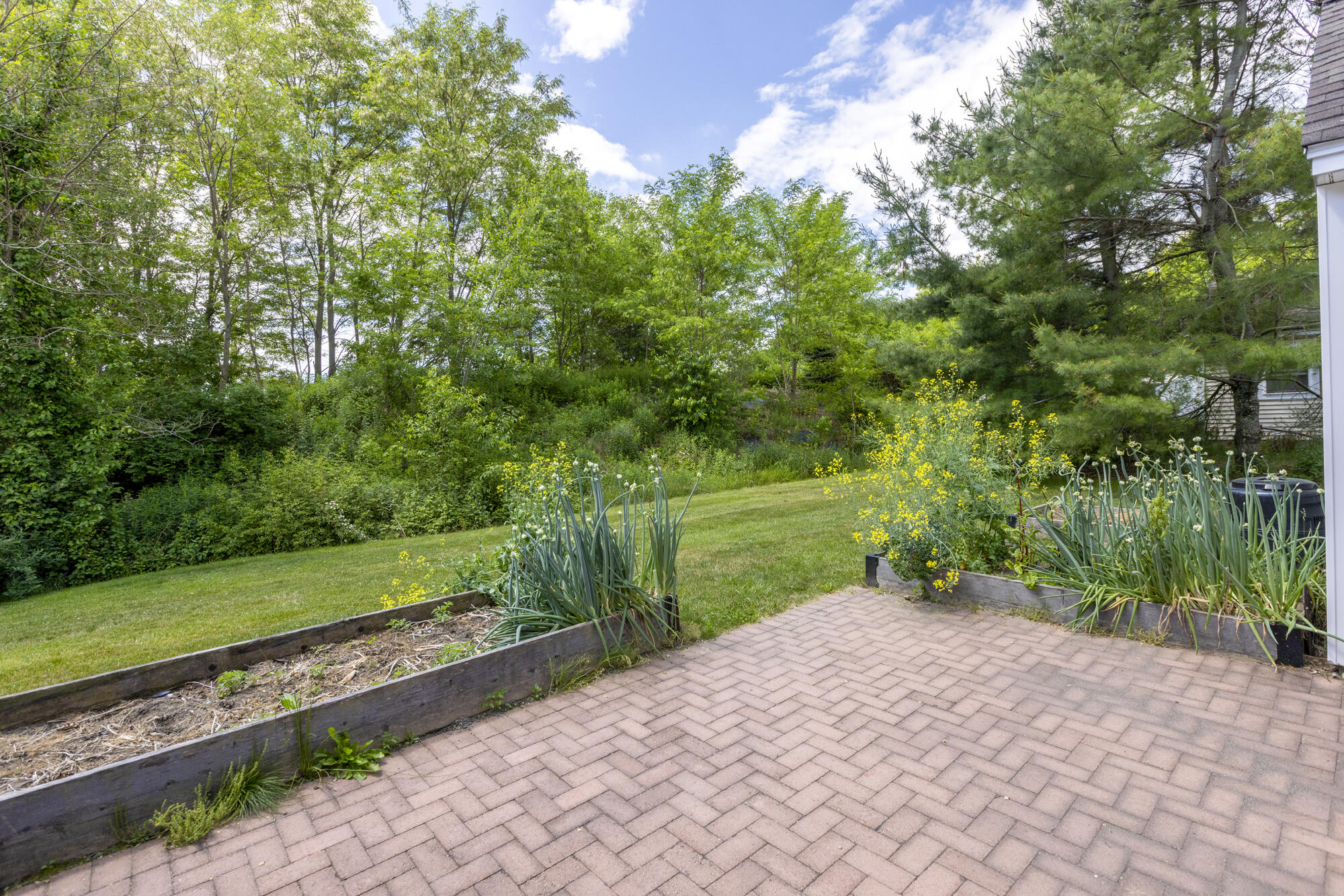 12 Juneberry Lane