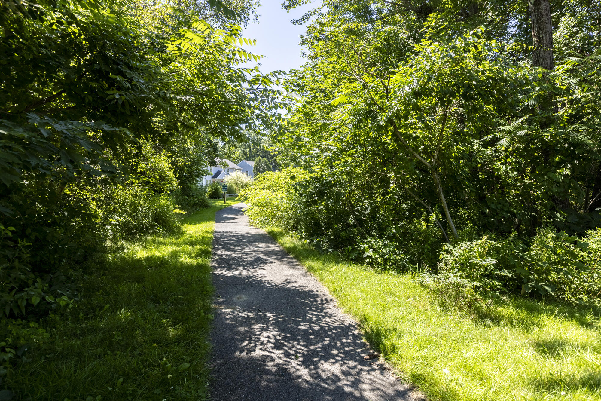51 Carriage Lane, B