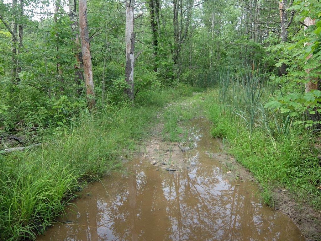 Lot 1 Turnpike Acres Road