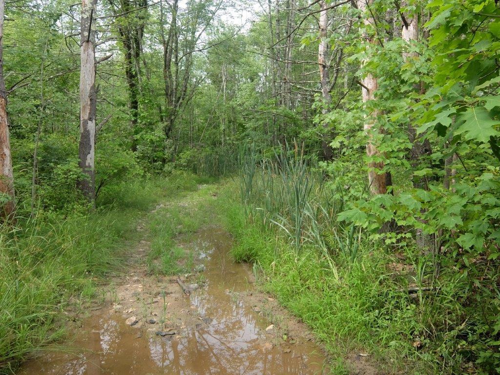 Lot 1 Turnpike Acres Road