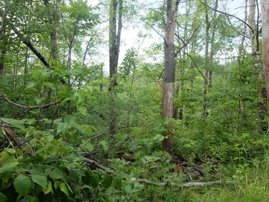 Lot 1 Turnpike Acres Road