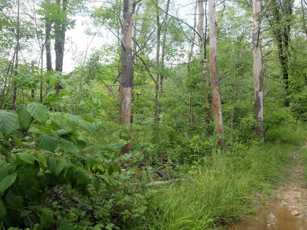 Lot 1 Turnpike Acres Road