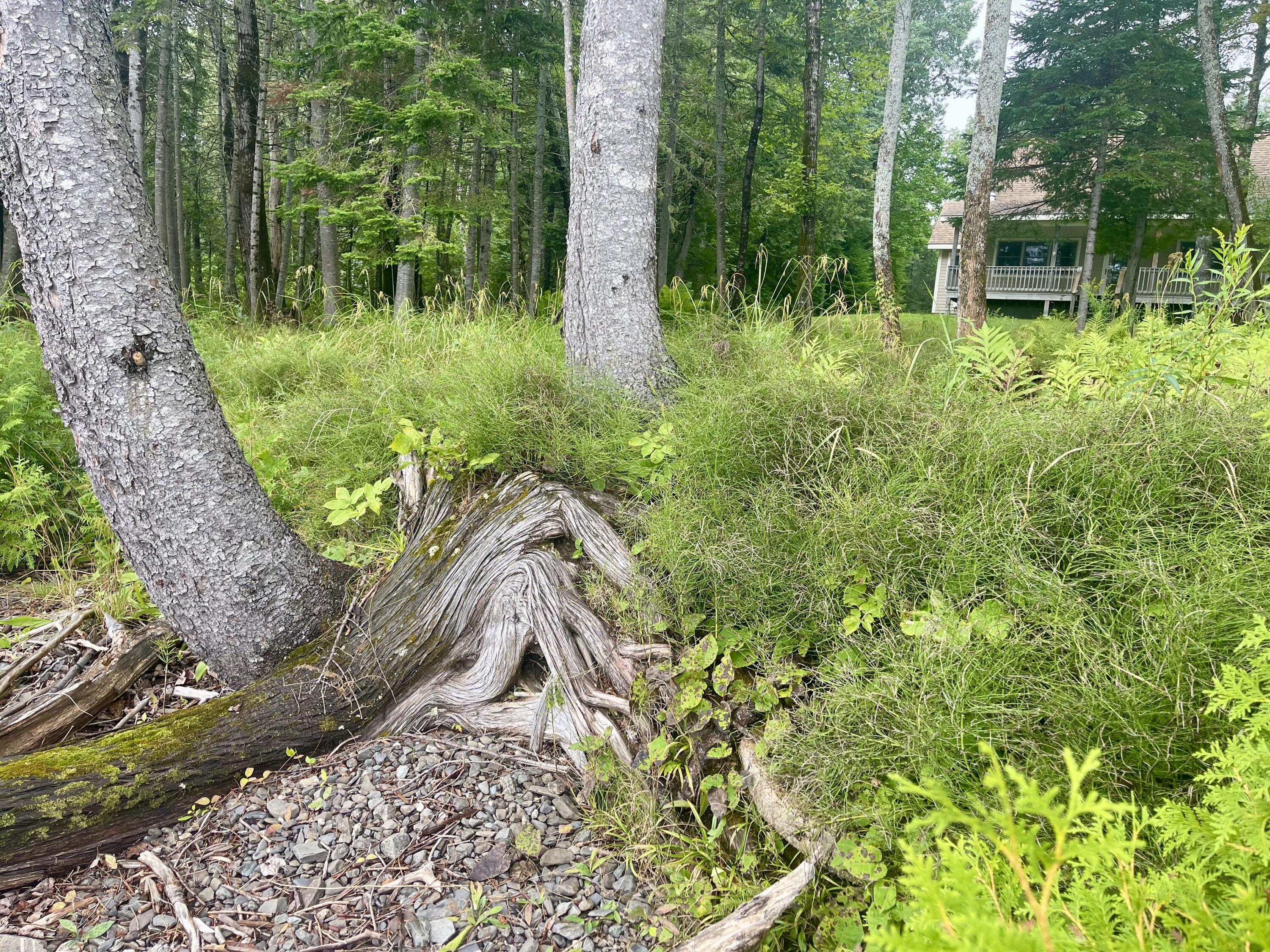 12 Woodland Trail