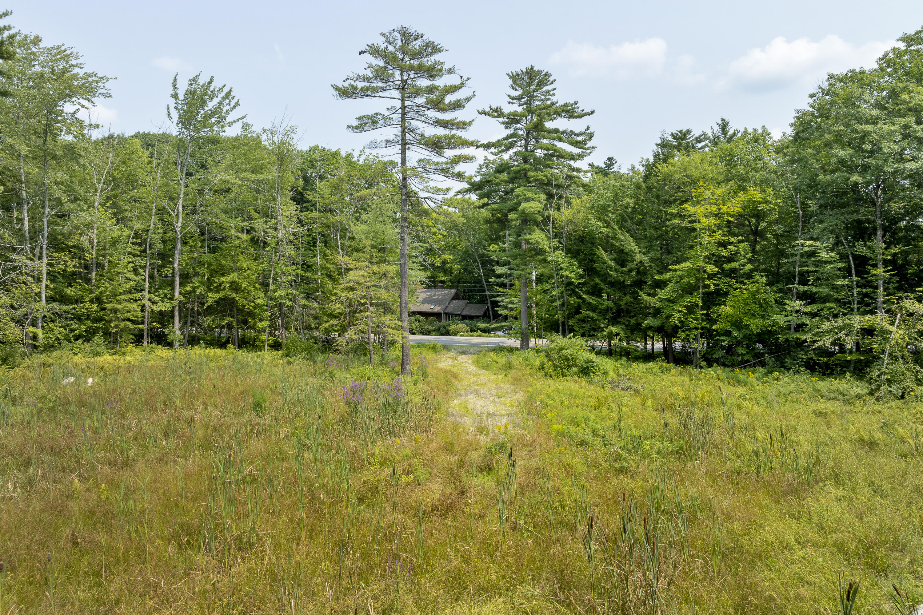 13 High Bluffs Road