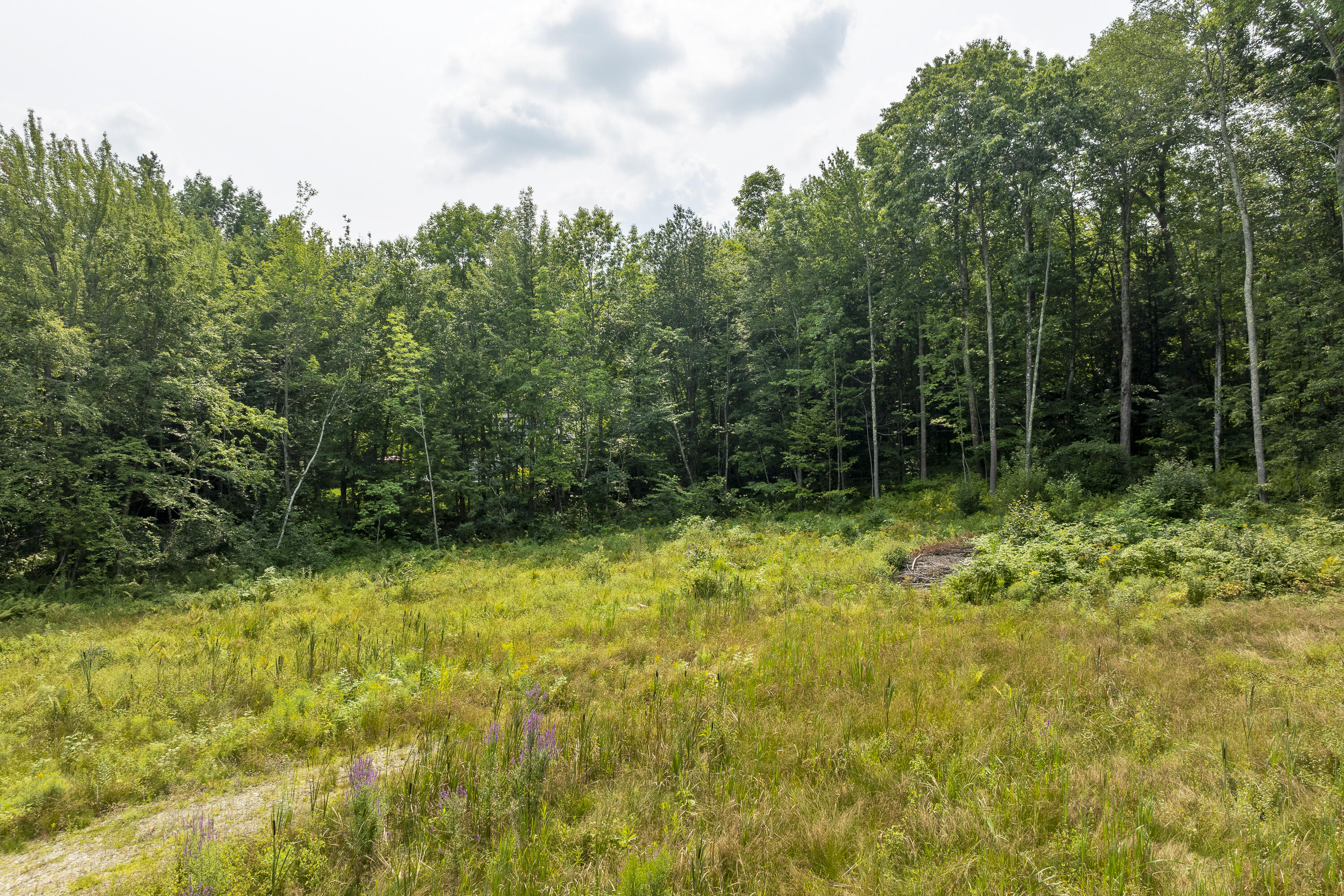13 High Bluffs Road