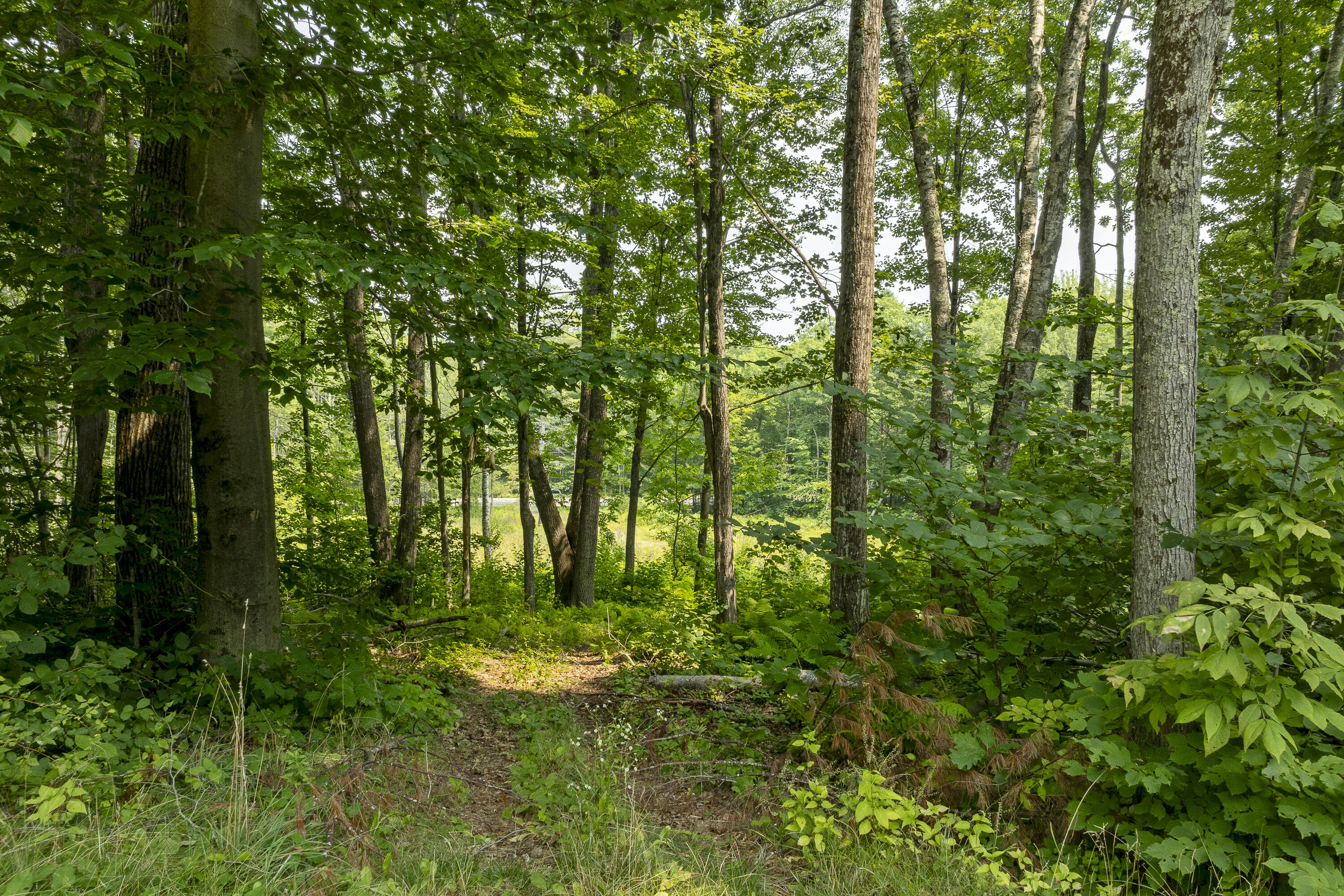 13 High Bluffs Road