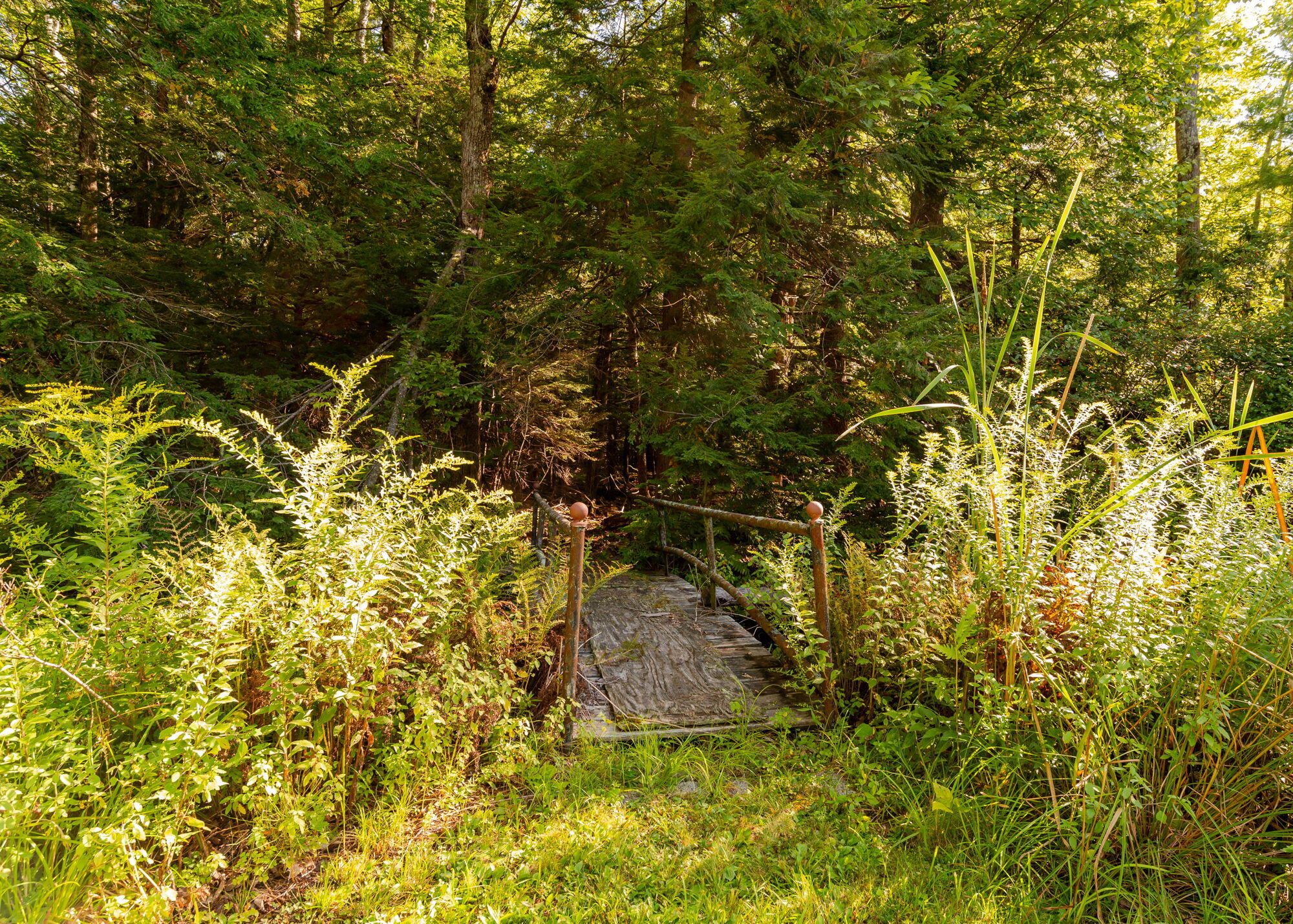 133 Blackstrap Road