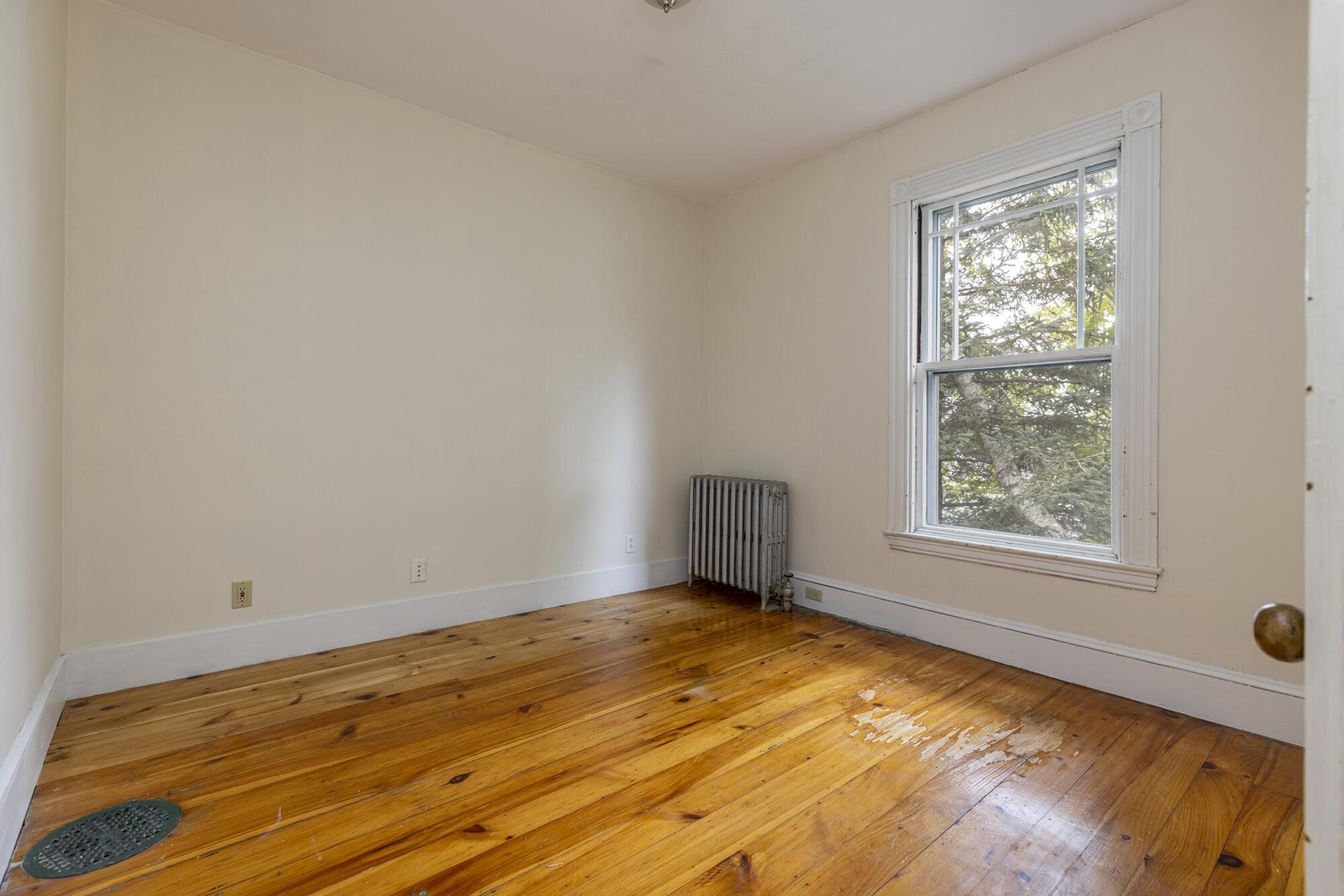 16 Nevens Street