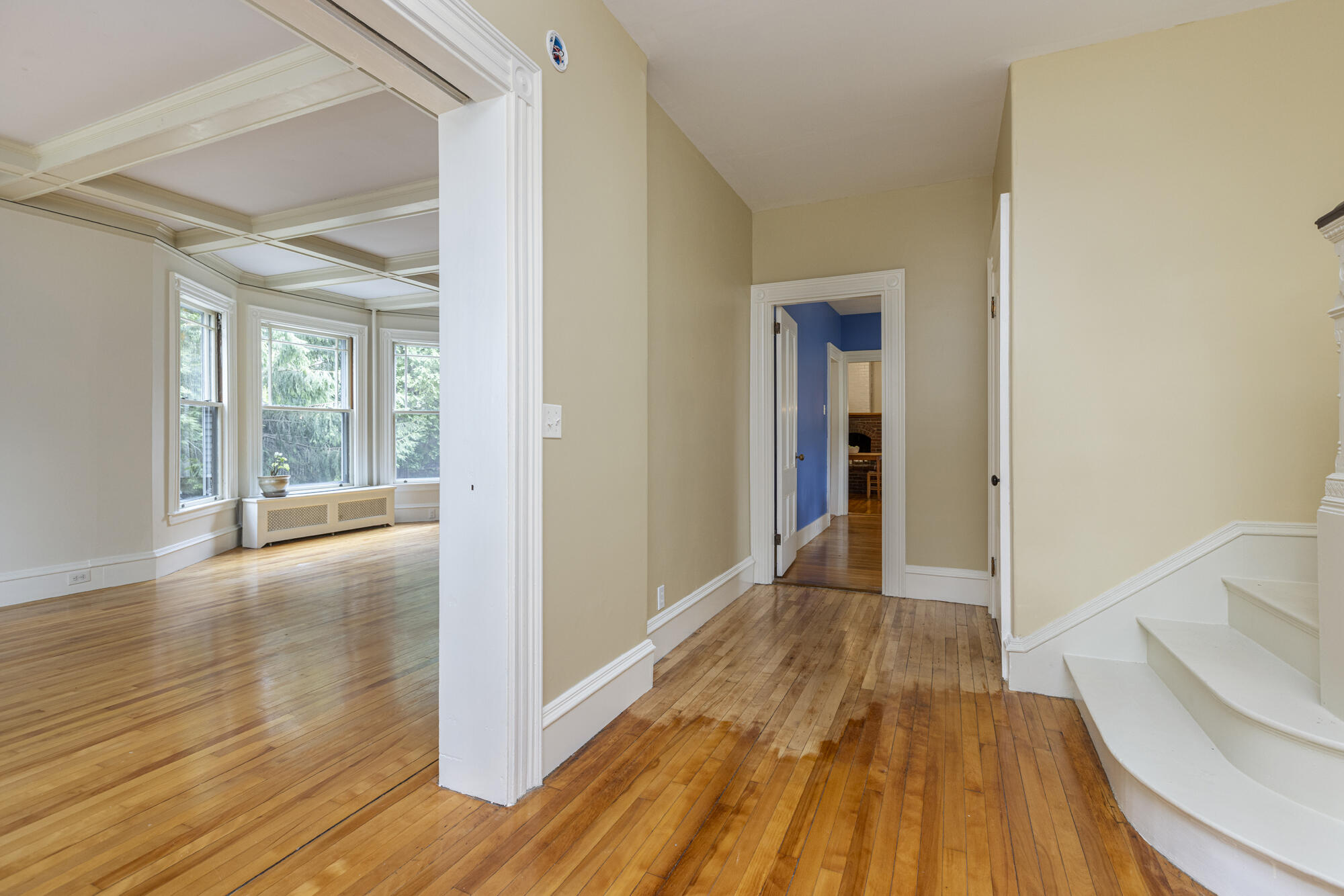 16 Nevens Street