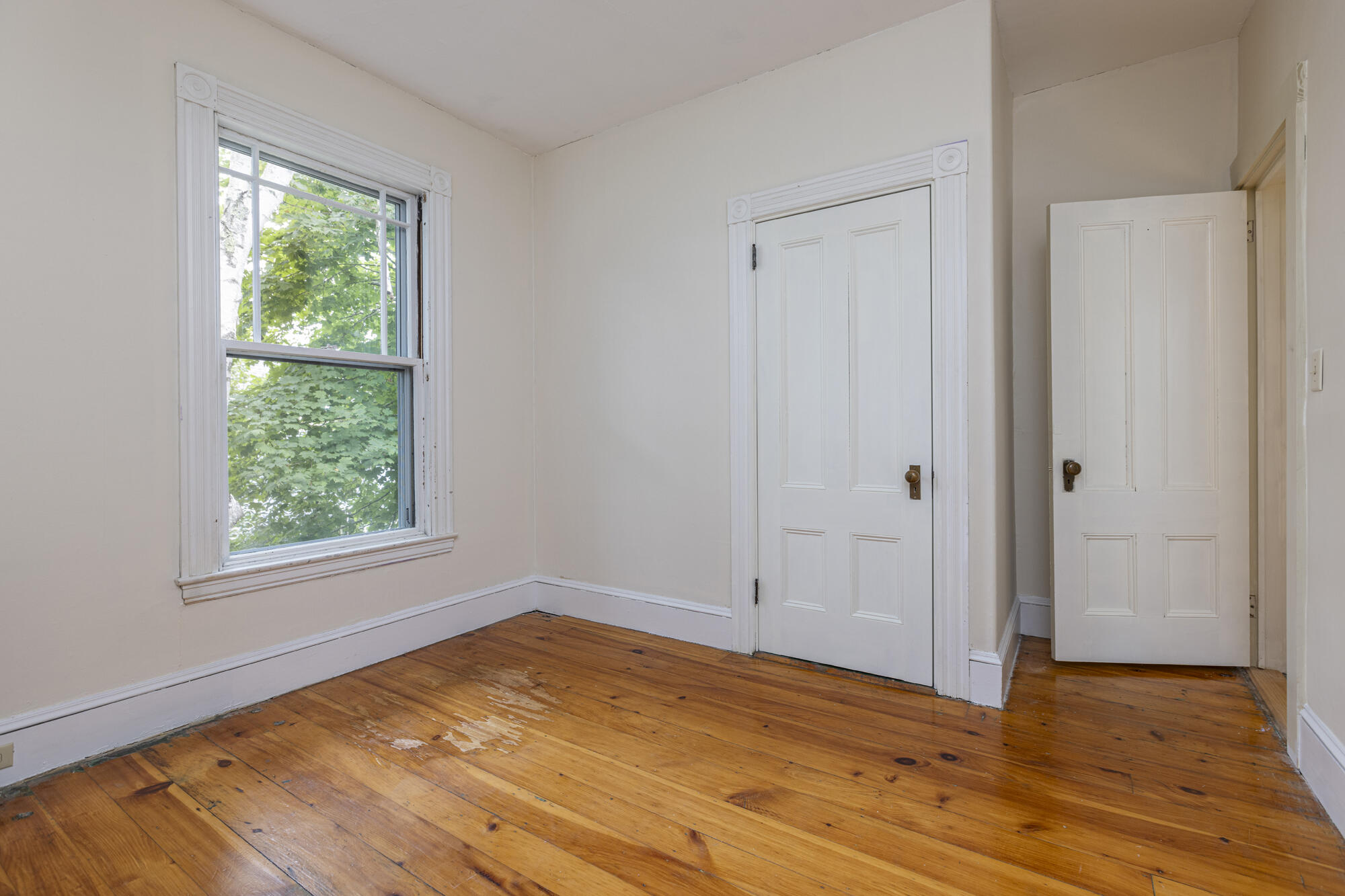 16 Nevens Street