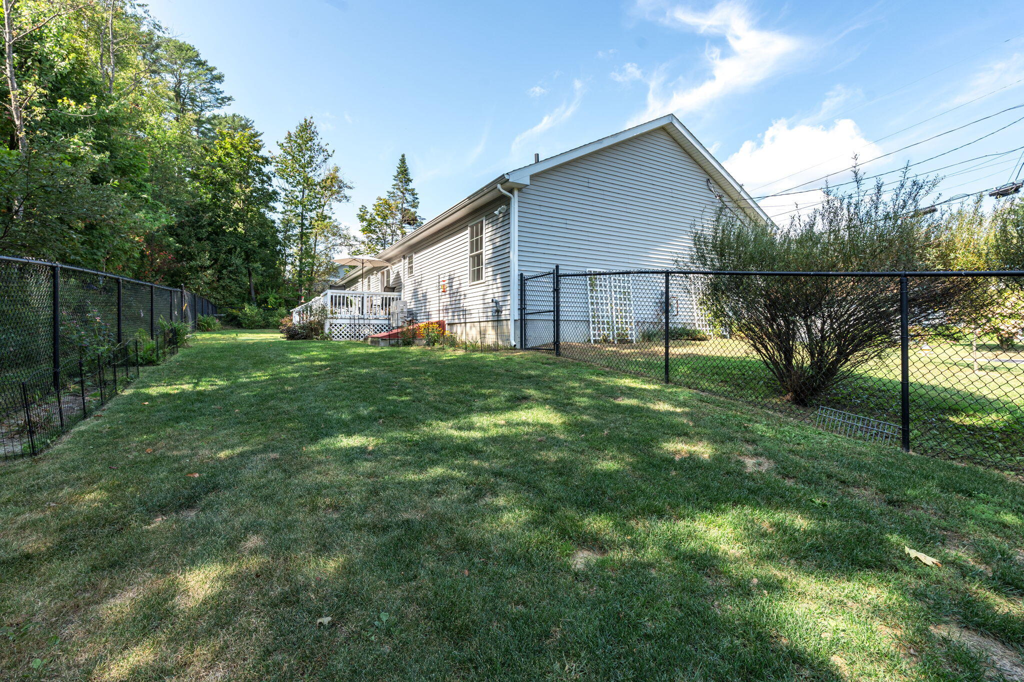 50 Lemont Avenue