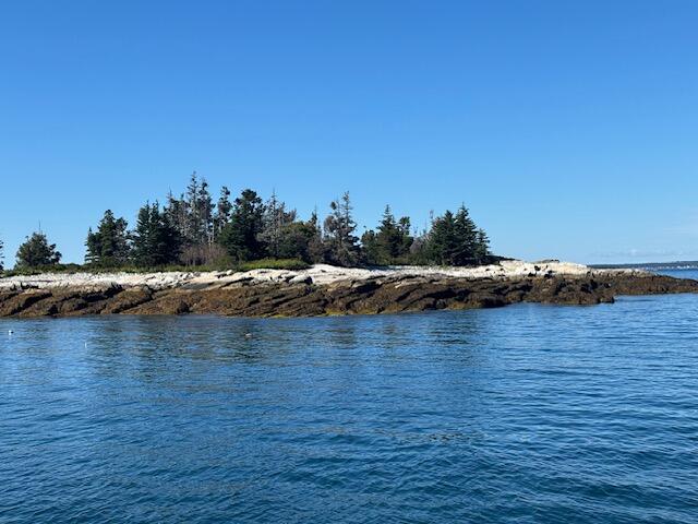 001 Crane Island