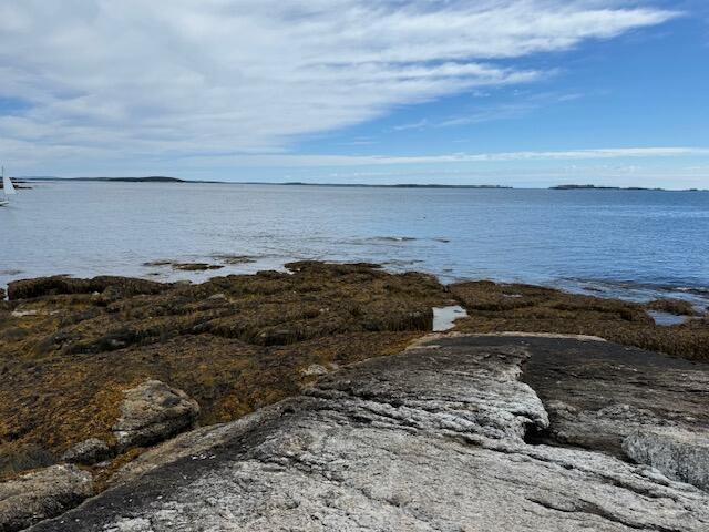 001 Crane Island