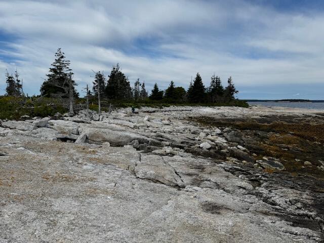 001 Crane Island
