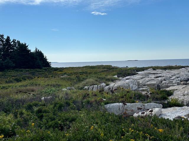001 Crane Island