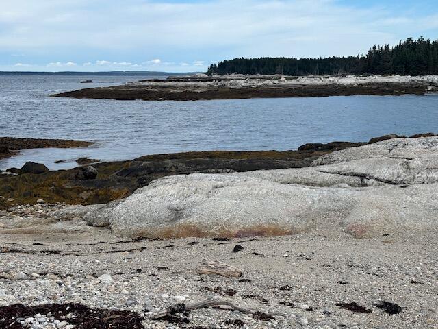 001 Crane Island