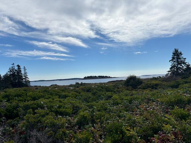 001 Crane Island