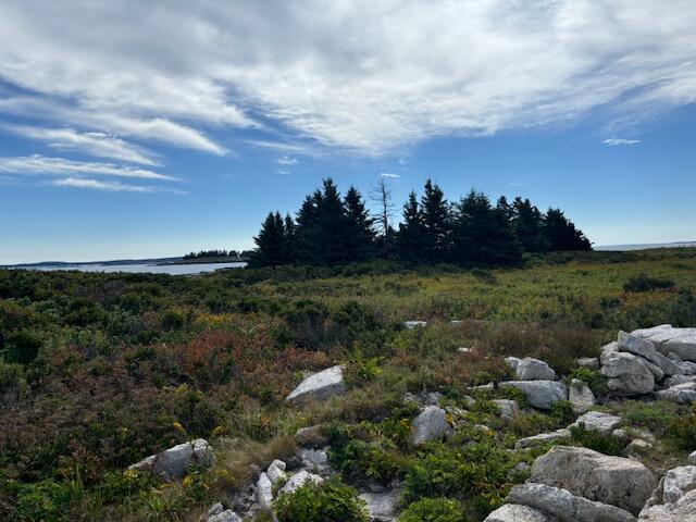 001 Crane Island