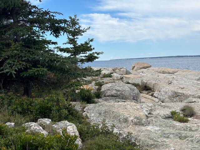 001 Crane Island