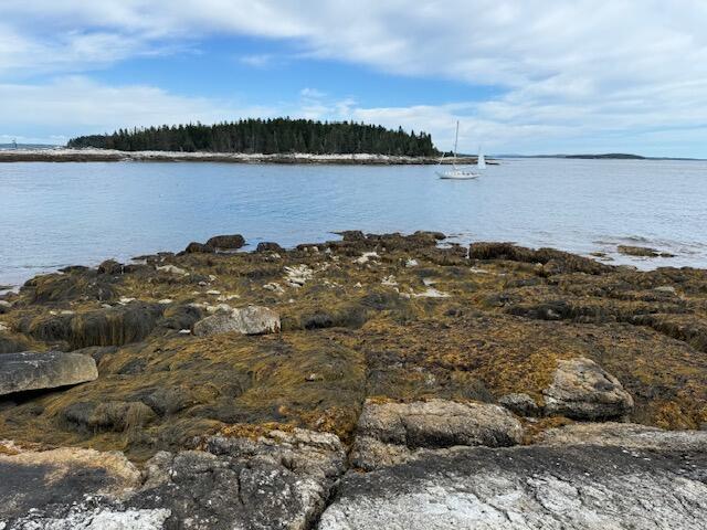 001 Crane Island
