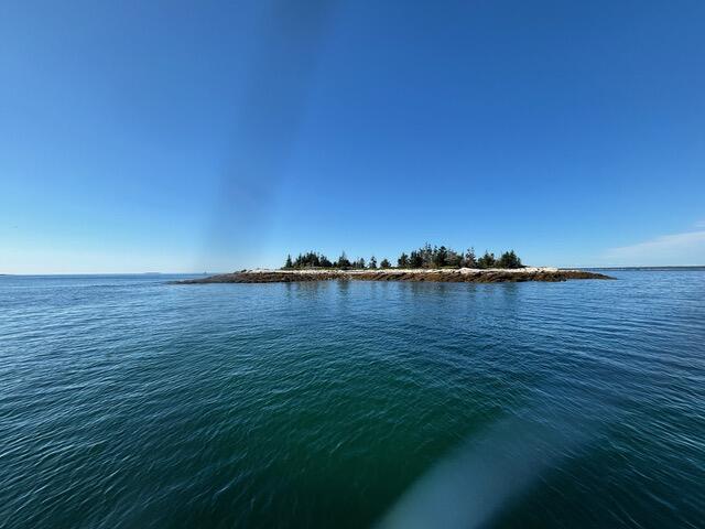 001 Crane Island