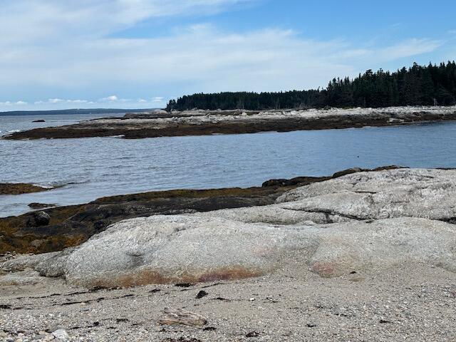 001 Crane Island