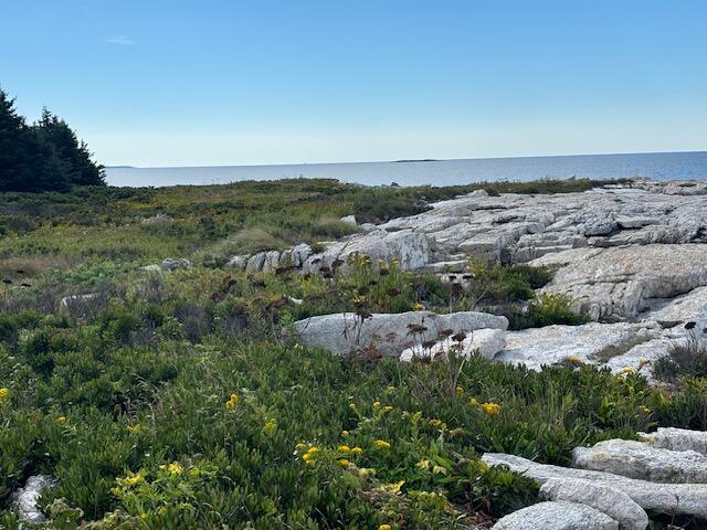 001 Crane Island